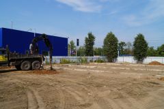 Процесс организации сваи